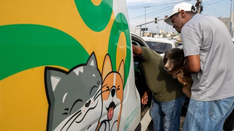 Prefeitura atende denúncia de maus-tratos e resgata animais em situação de emergência em Cuiabá