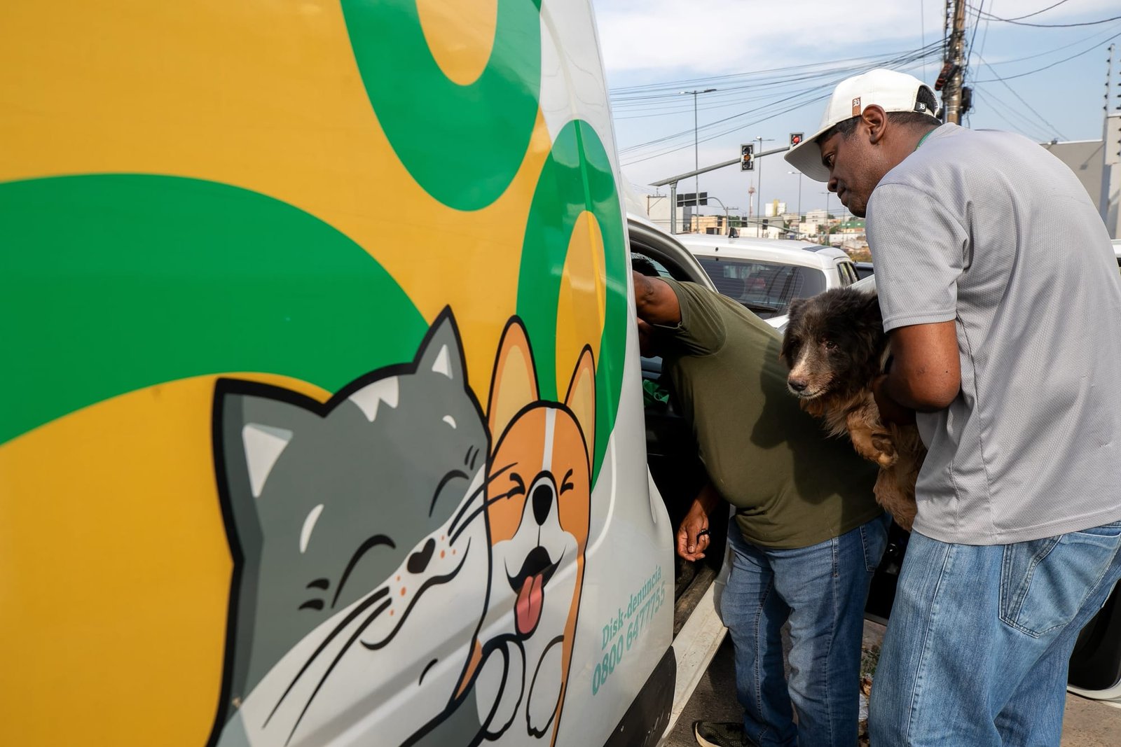 Prefeitura atende denúncia de maus-tratos e resgata animais em situação de emergência em Cuiabá
