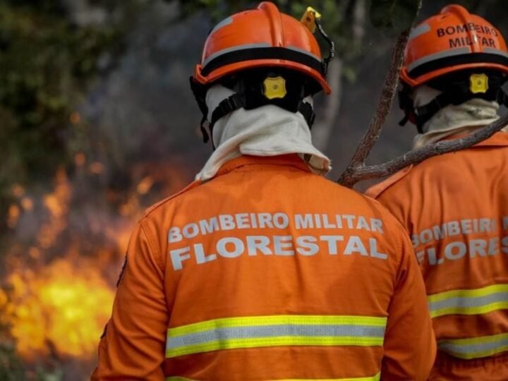 Homem é preso após provocar incêndio em parque estadual na região do Pantanal de MT