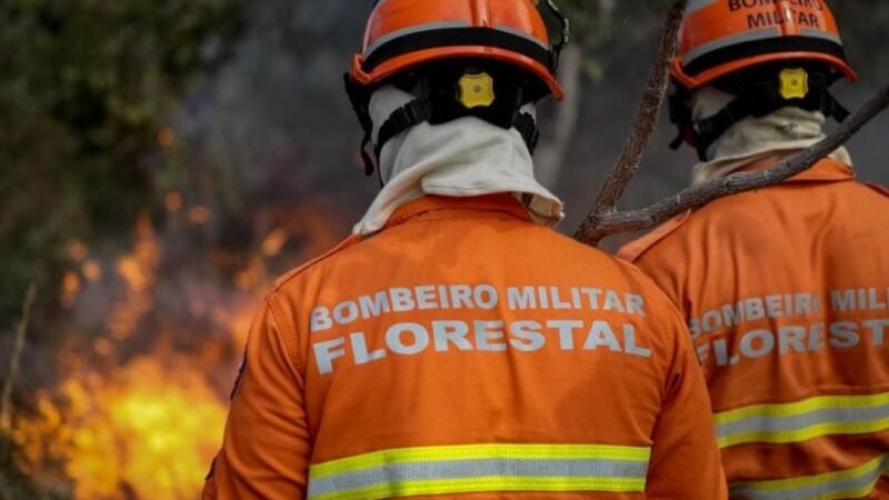 Homem é preso após provocar incêndio em parque estadual na região do Pantanal de MT