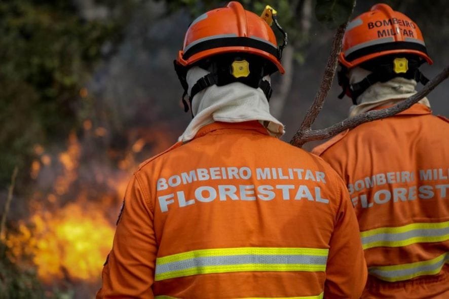 Homem é preso após provocar incêndio em parque estadual na região do Pantanal de MT
