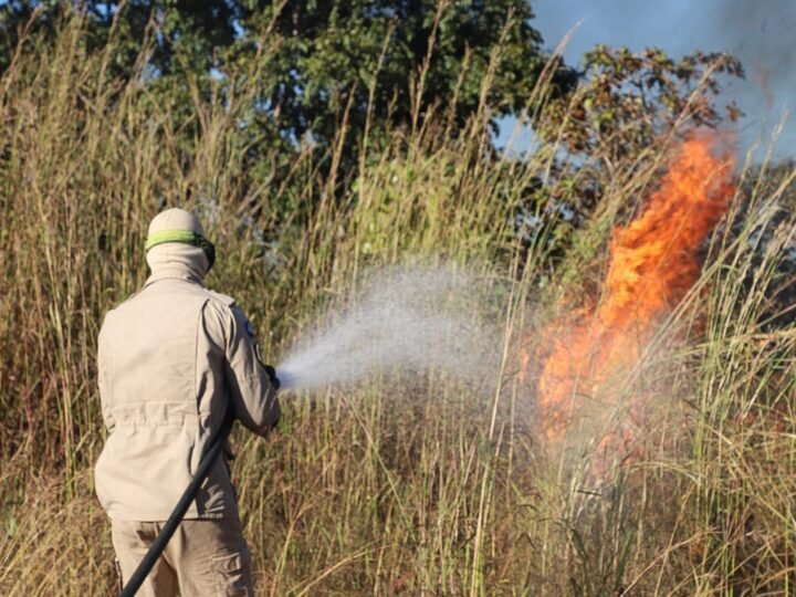 Corpo de Bombeiros combate incêndios florestais em nove municípios de MT