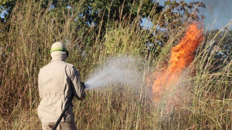 Corpo de Bombeiros combate incêndios florestais em nove municípios de MT