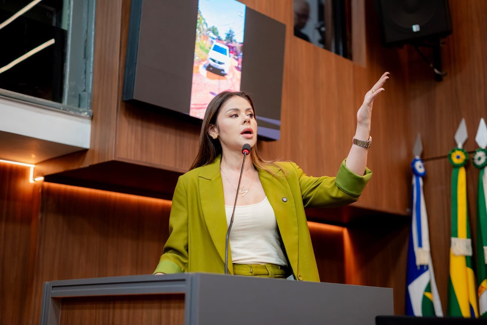 Michelly defende porte de arma para mulheres com medida protetiva: ‘Direito de escolher se defender’