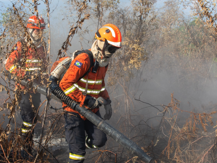 Mato Grosso registra queda de 60% nos focos de calor em 2026