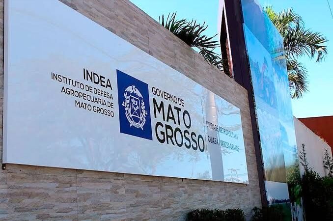 Indea confirma 6 casos de raiva animal em cavalos e bovinos em duas cidades de Mato Grosso