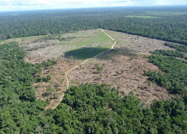Fazendeiro é condenado por desmatar terra indígena em Mato Grosso para plantar soja