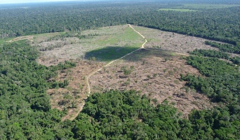 Fazendeiro é condenado por degradação na Terra Indígena Marãiwatséd, em Mato Grosso