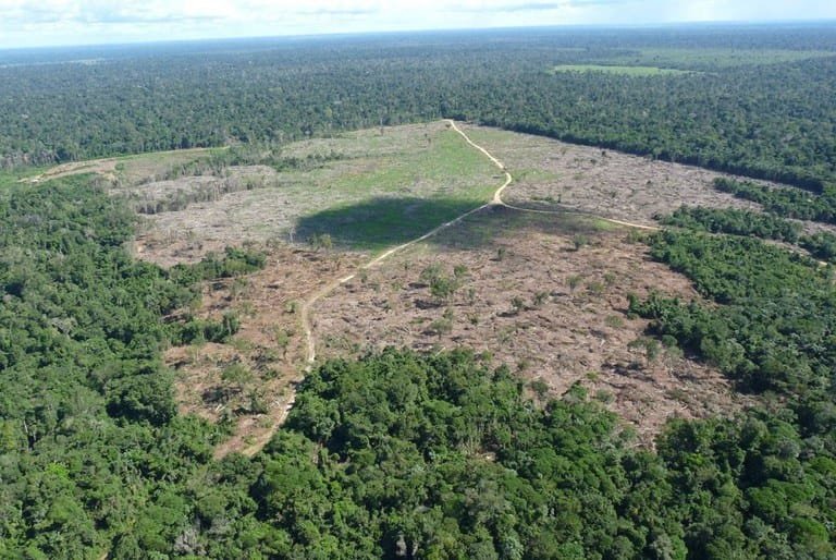 Fazendeiro é condenado por degradação na Terra Indígena Marãiwatséd, em Mato Grosso