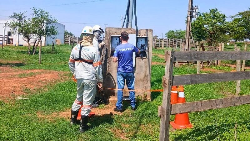 Operação flagra ‘gato’ de energia elétrica em haras e uma pessoa é presa em flagrante pela PC