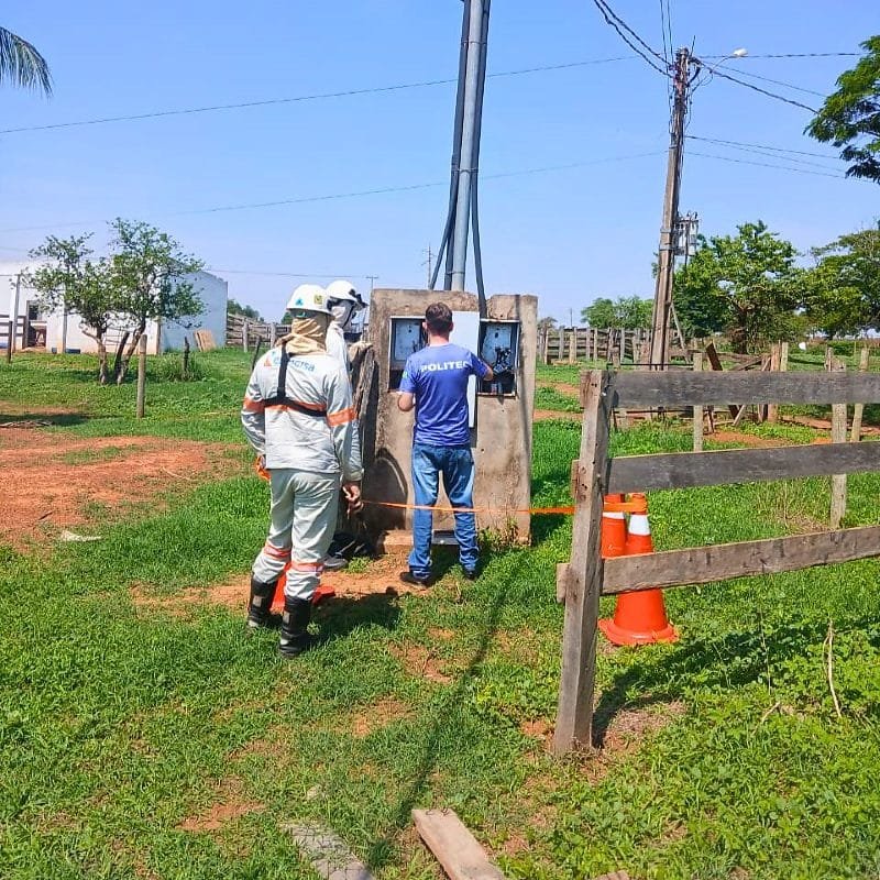 Operação flagra ‘gato’ de energia elétrica em haras e uma pessoa é presa em flagrante pela PC
