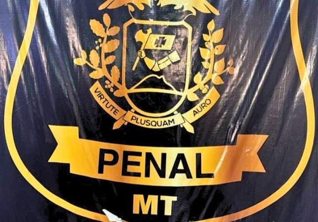 Polícia Penal abate drone e apreende carregadores e fones de ouvido em penitenciária