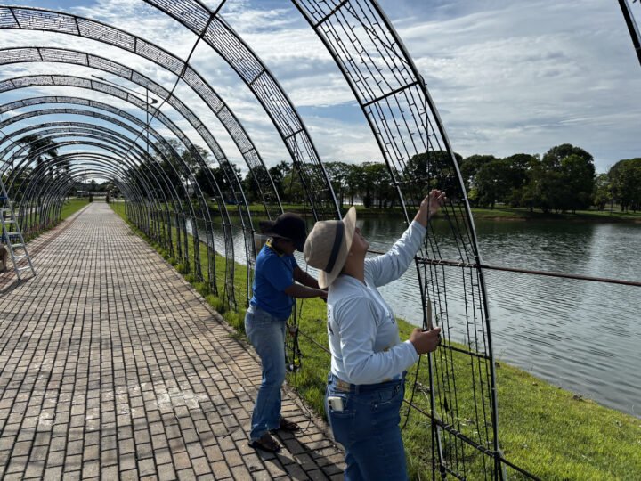 Depredação de decorações natalinas é registrada em lagos de Matupá e no bairro Cidade Alta