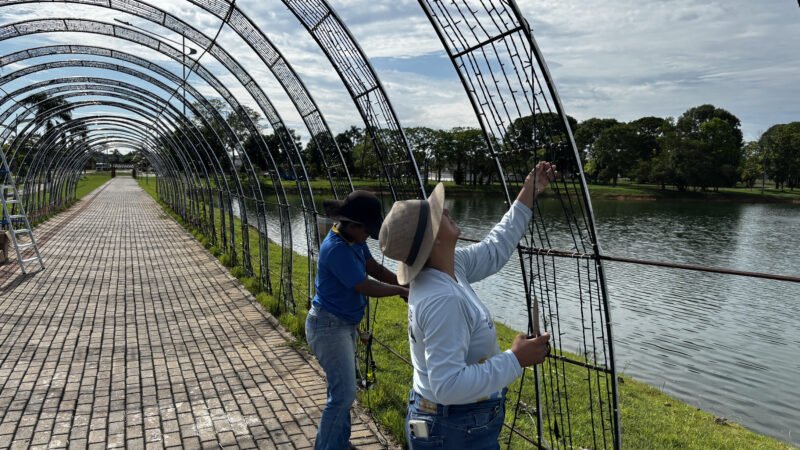 Depredação de decorações natalinas é registrada em lagos de Matupá e no bairro Cidade Alta