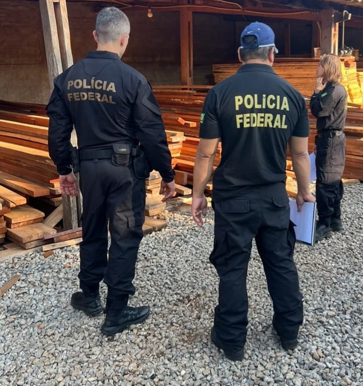 PF derruba esquema nacional de comércio ilegal de madeira após apreensão de caminhão em MT
