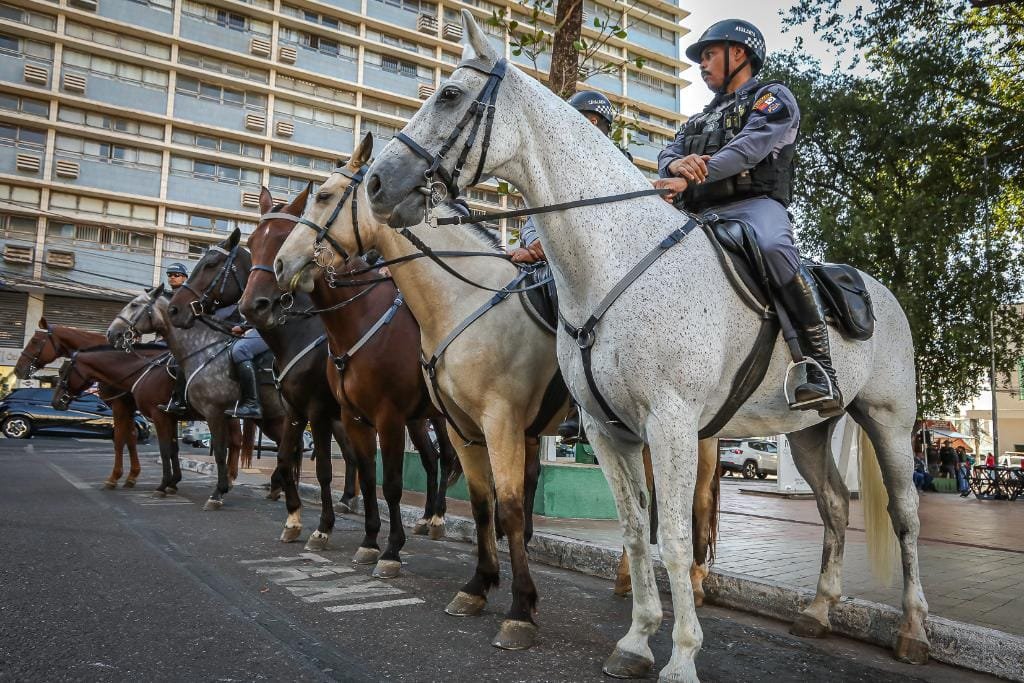 Cavalaria da PM prende idoso de 81 anos foragido da Justiça por estupro em Cuiabá