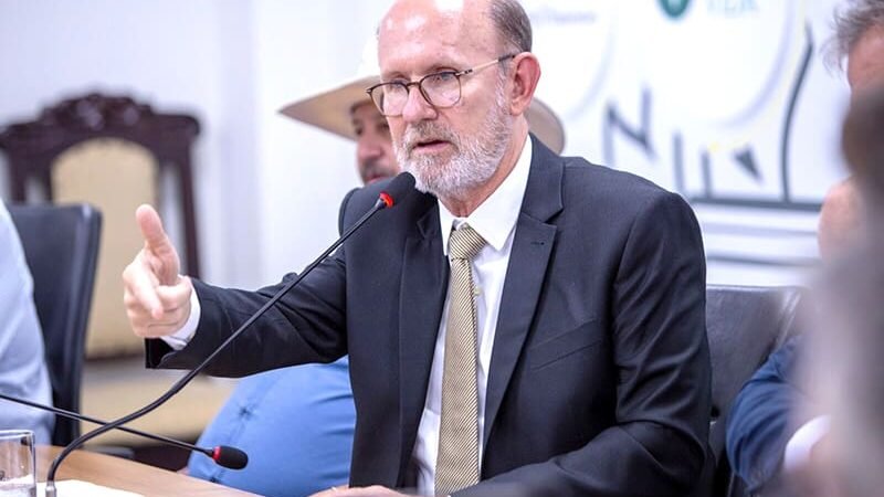 Avallone é contra proposta de Pivetta sobre facções: “Colocar o nome de terrorista muda o quê?”