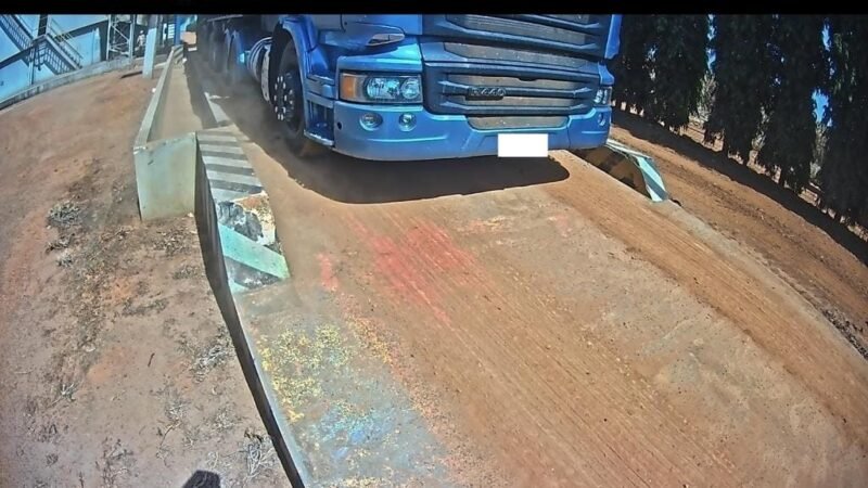 Polícia Civil desarticula grupo criminoso envolvido em furtos de cargas de soja em fazenda