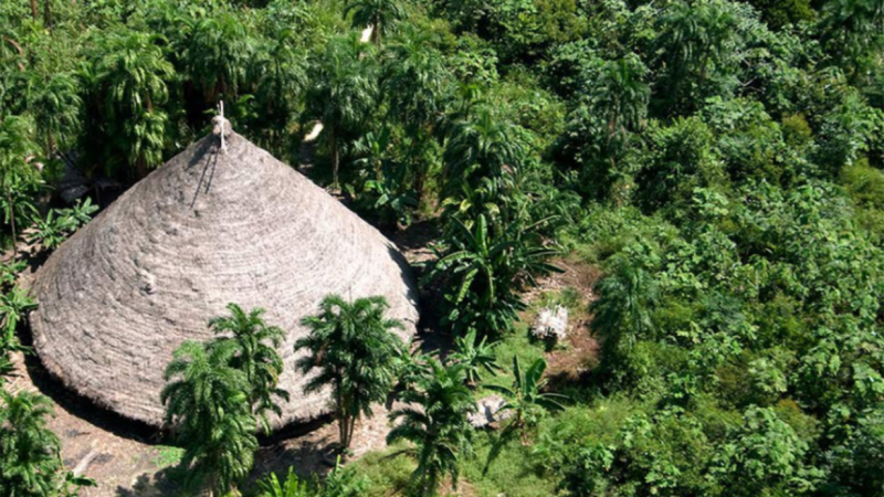 TRF1 garante posse de 75 mil hectares para indígenas e anula títulos privados em Mato Grosso