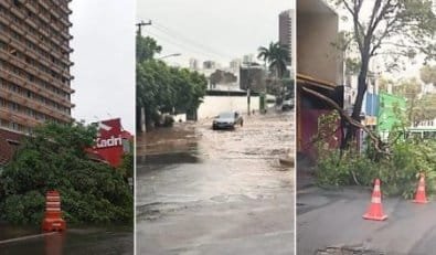 Temporal alaga casas, arrasta carros e derruba árvores em Cuiabá e Várzea Grande; vídeos