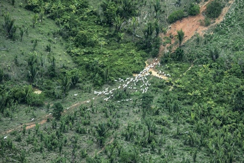 Justiça proíbe exploração de recursos naturais e manda desocupar terra indígena em MT